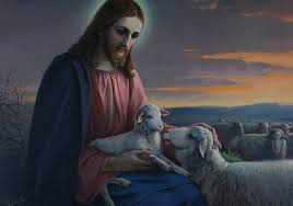 Jezus i owca